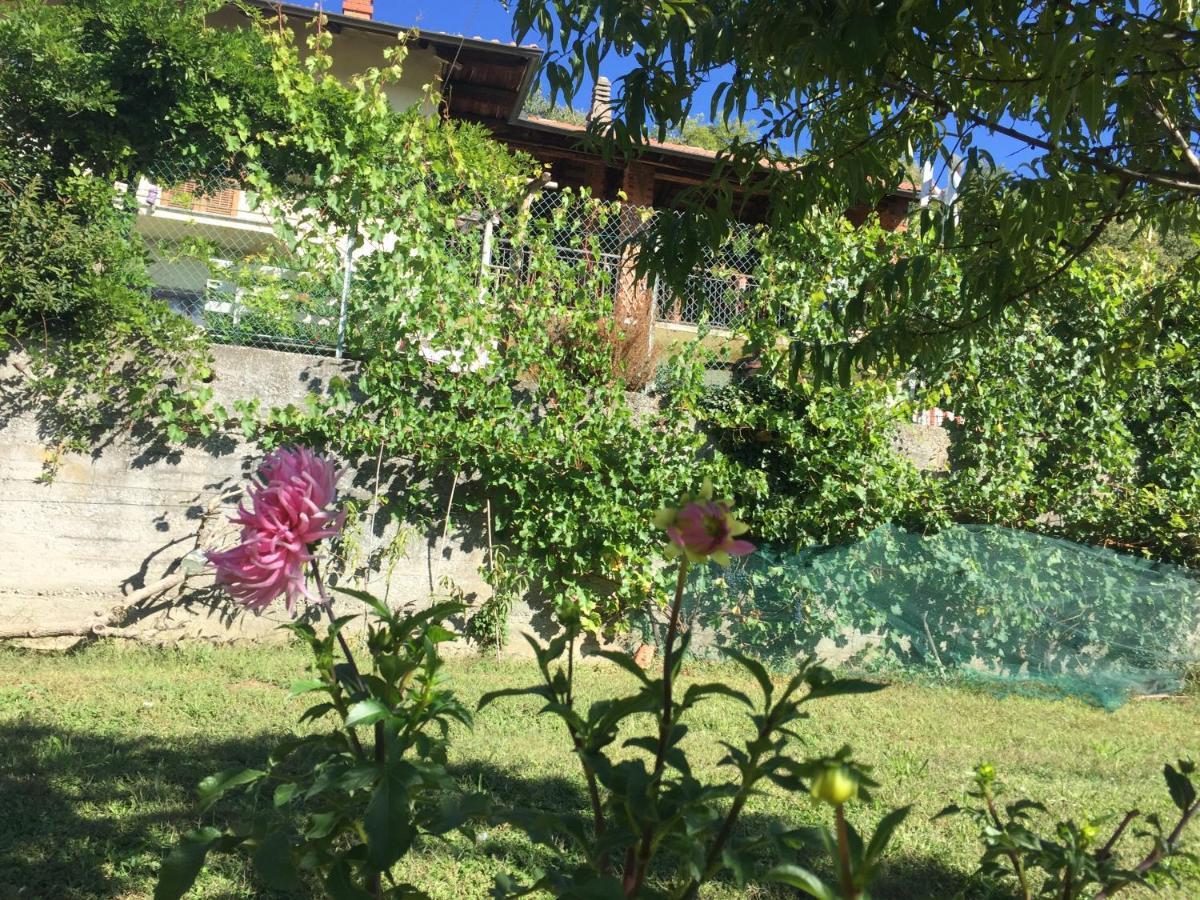 Oca Carolina Bed & Breakfast Buttigliera Alta Dış mekan fotoğraf