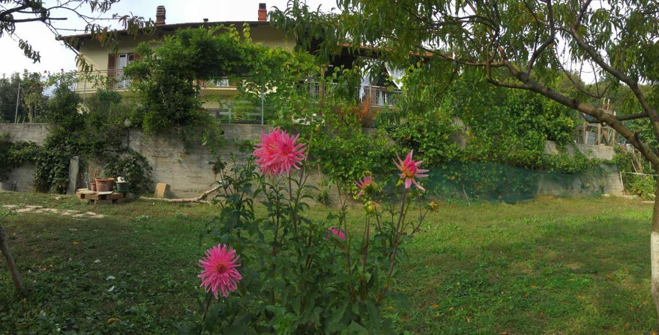Oca Carolina Bed & Breakfast Buttigliera Alta Dış mekan fotoğraf