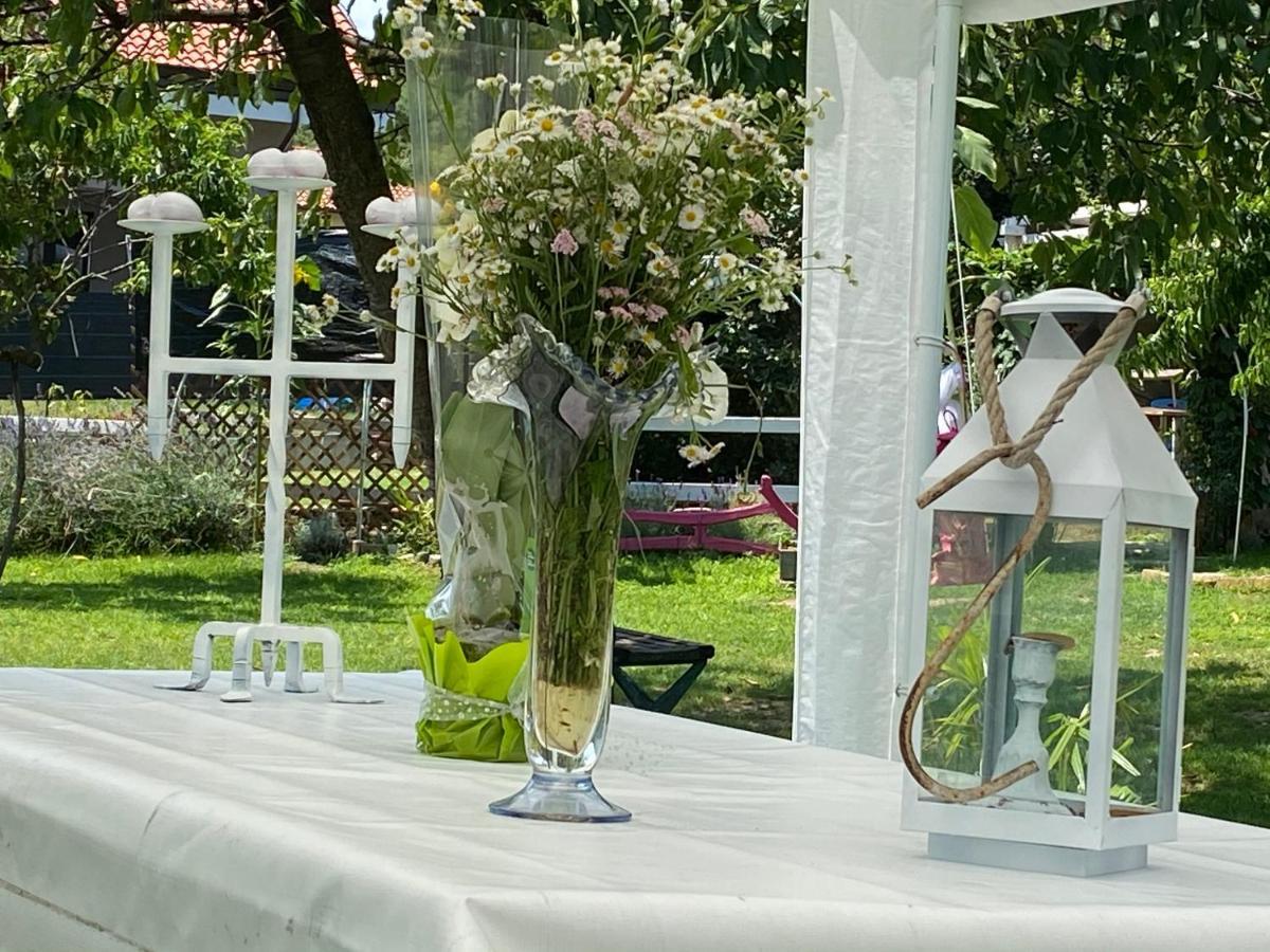 Oca Carolina Bed & Breakfast Buttigliera Alta Dış mekan fotoğraf
