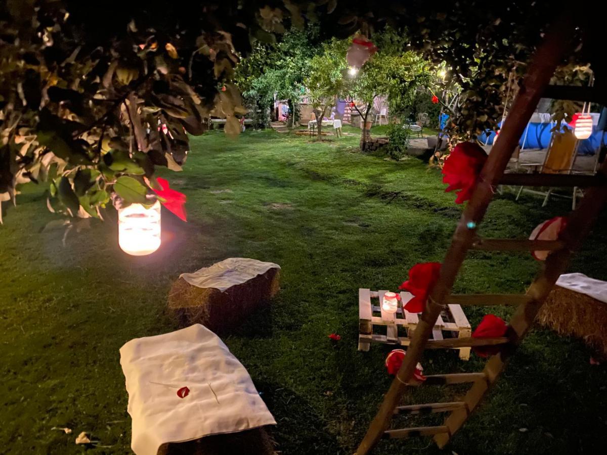 Oca Carolina Bed & Breakfast Buttigliera Alta Dış mekan fotoğraf